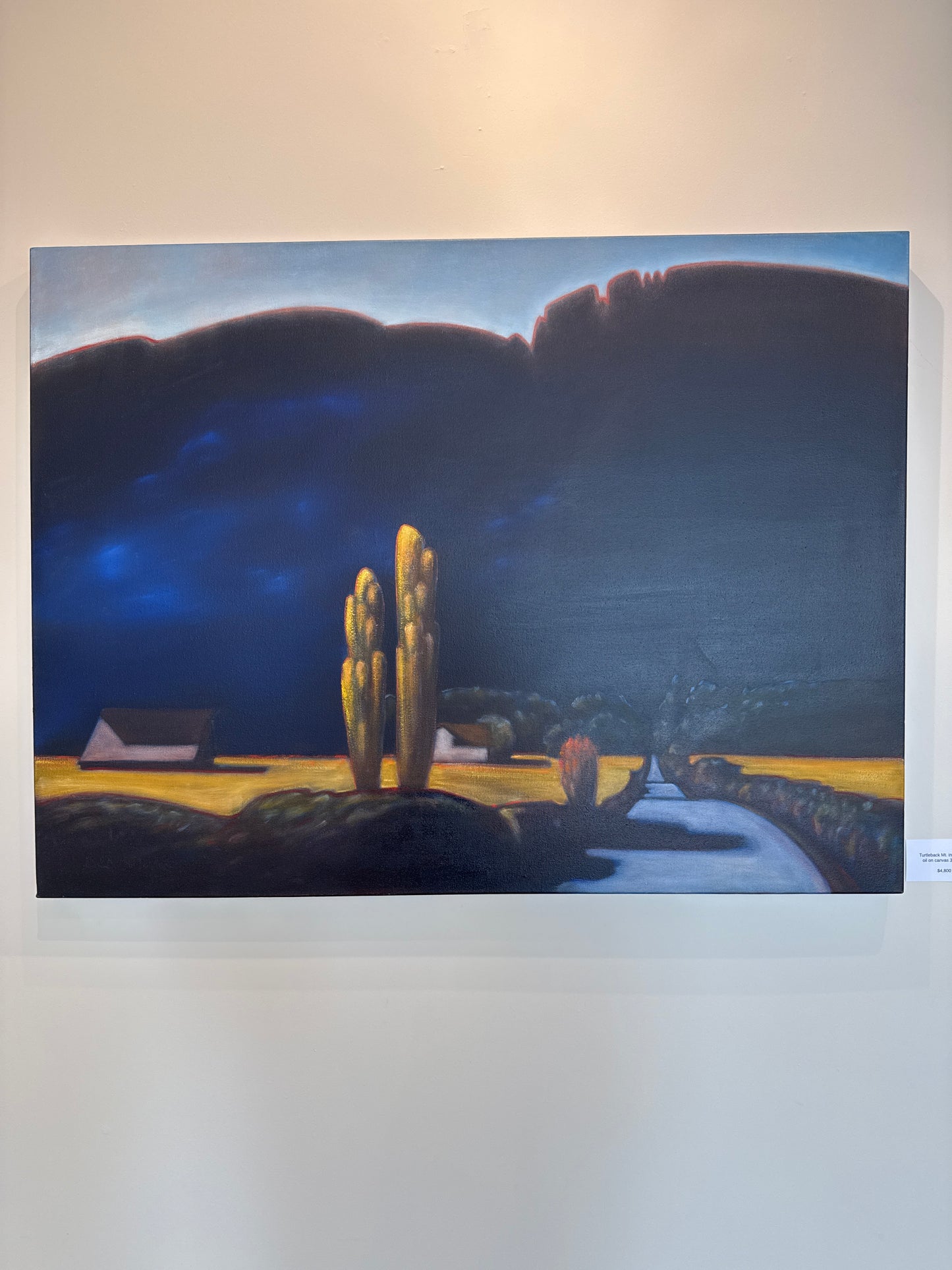 DV-2510 Turtleback Mt. in Shadow oil on canvas 30 x 40