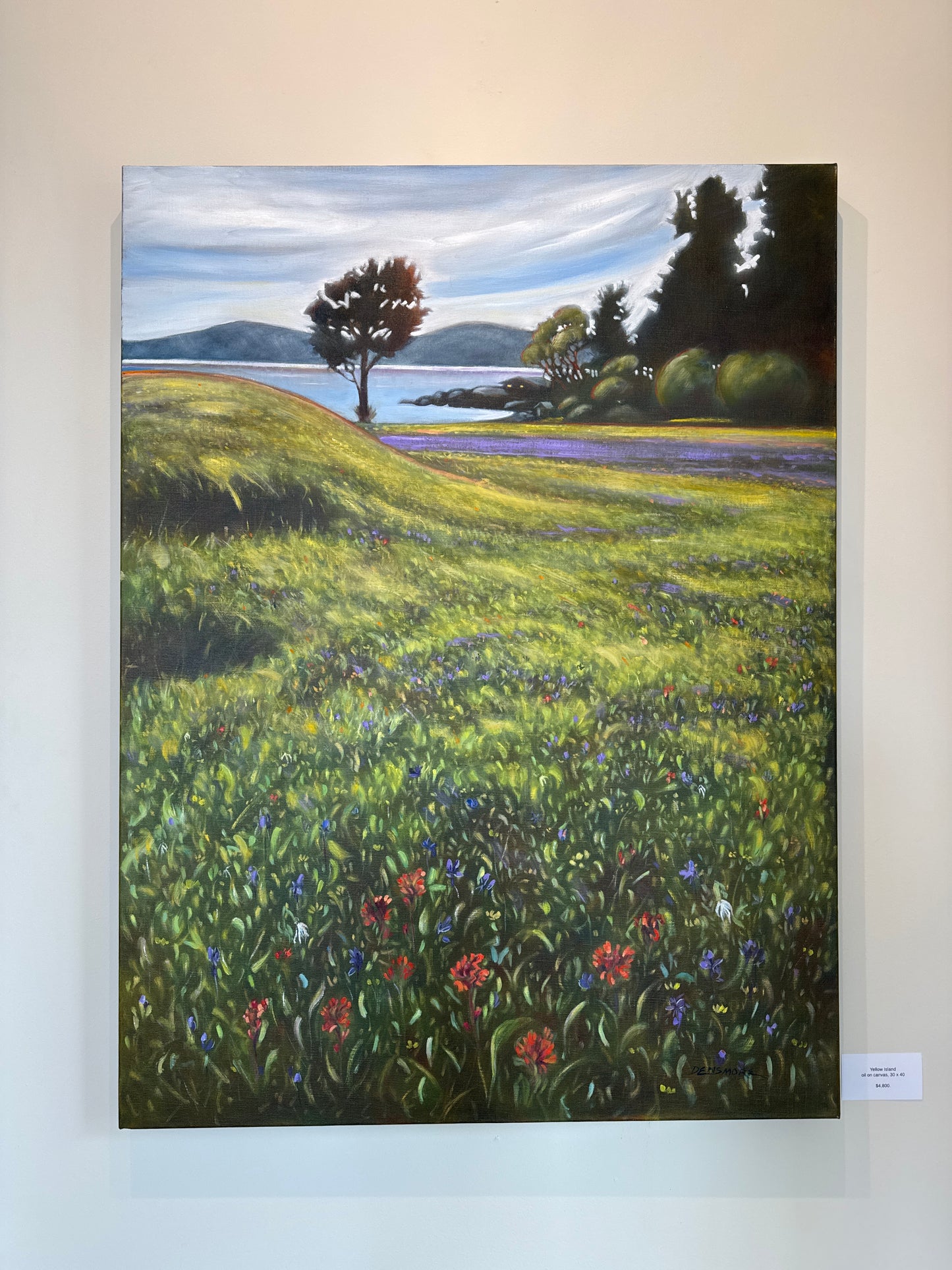 DV-2501 Yellow Island oil on canvas 30 x 40