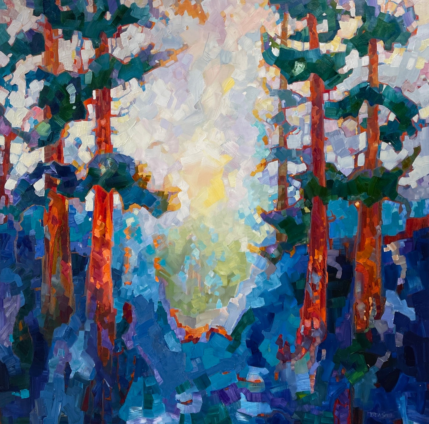 TS-2408 Giant Firs 48 x 48 oil on canvas