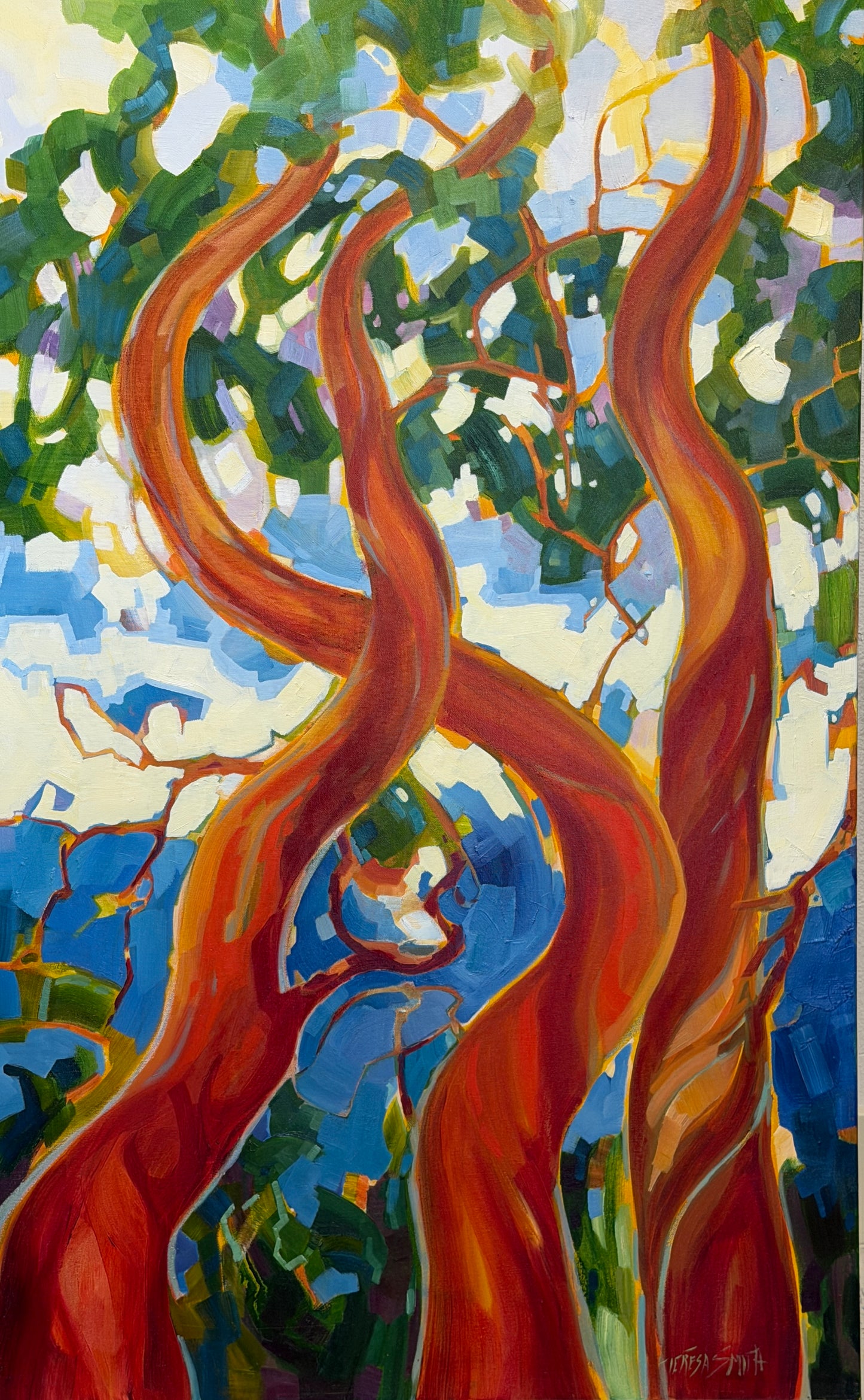 TS-2605 Madronas By the Sea 48 X 30 oil on canvas