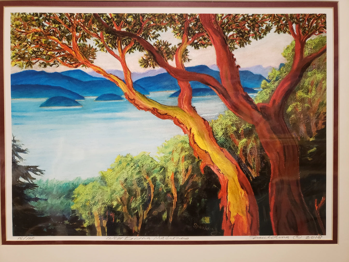 NS-22426 "West Facing Madronas"