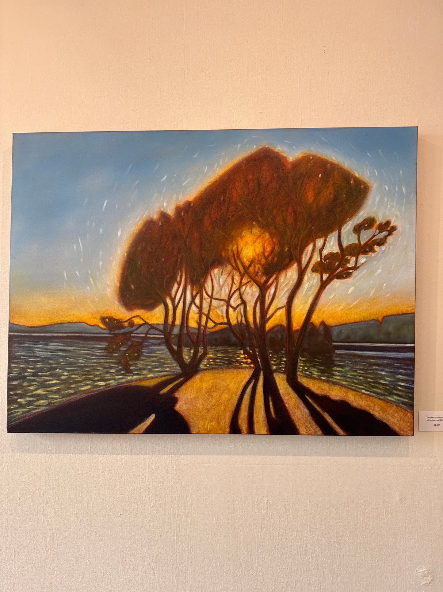 DV-2507 Clam Harbor Madronas oil on canvas 30 x 40