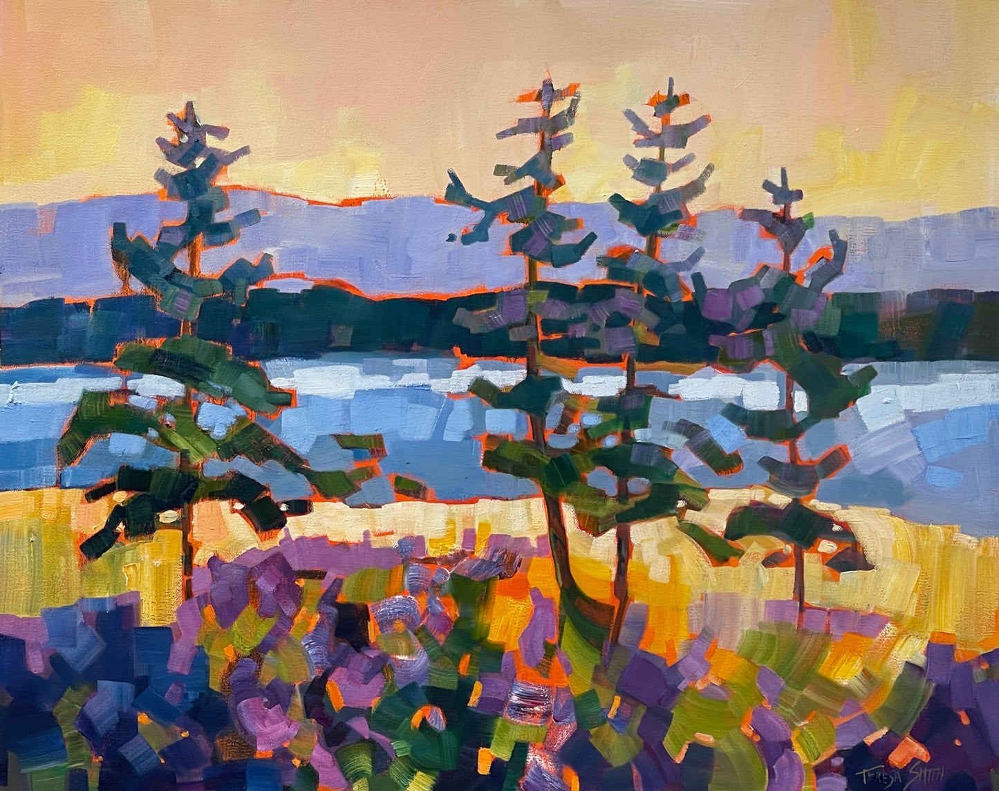 TS-2511 San Juan Islands 24 x 30 oil on canvas