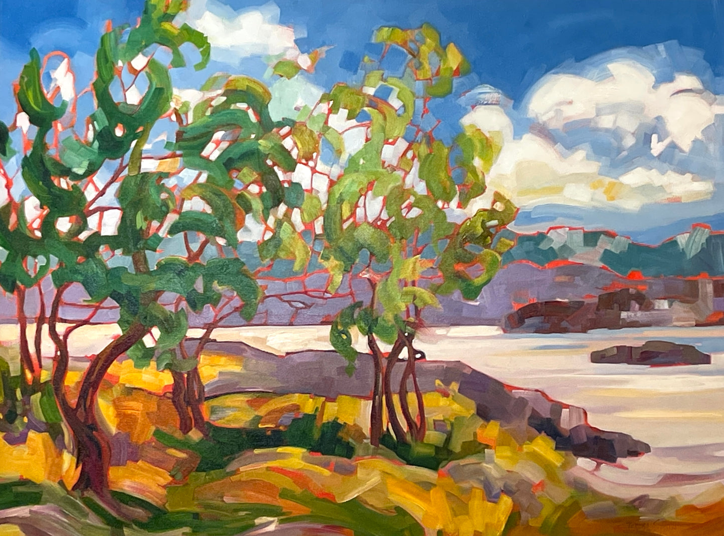 TS-2602 Yellow Island 30 x 40 oil on canvas